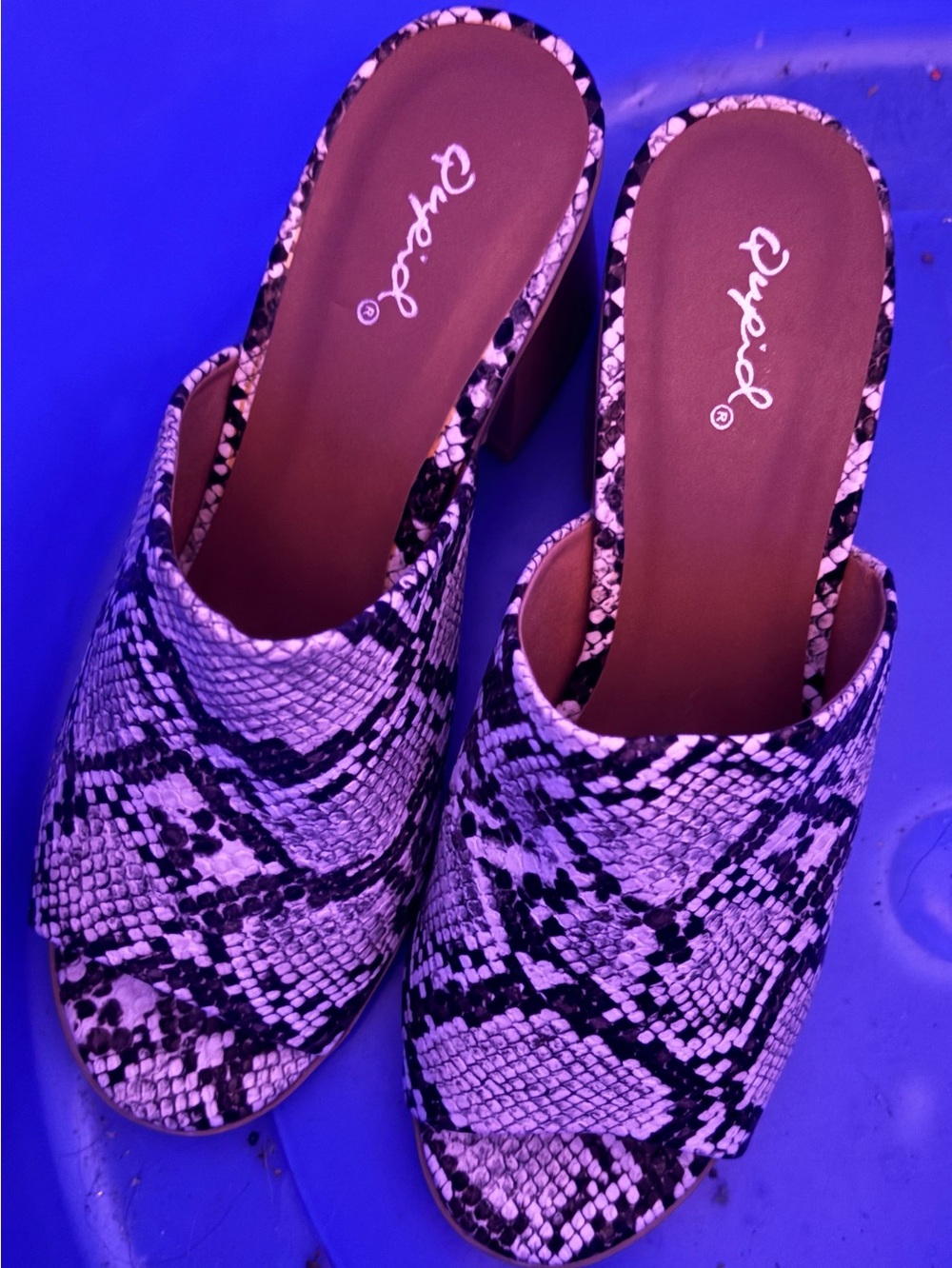 Qupid Snake-Print Open-Toe Mules in Black and White